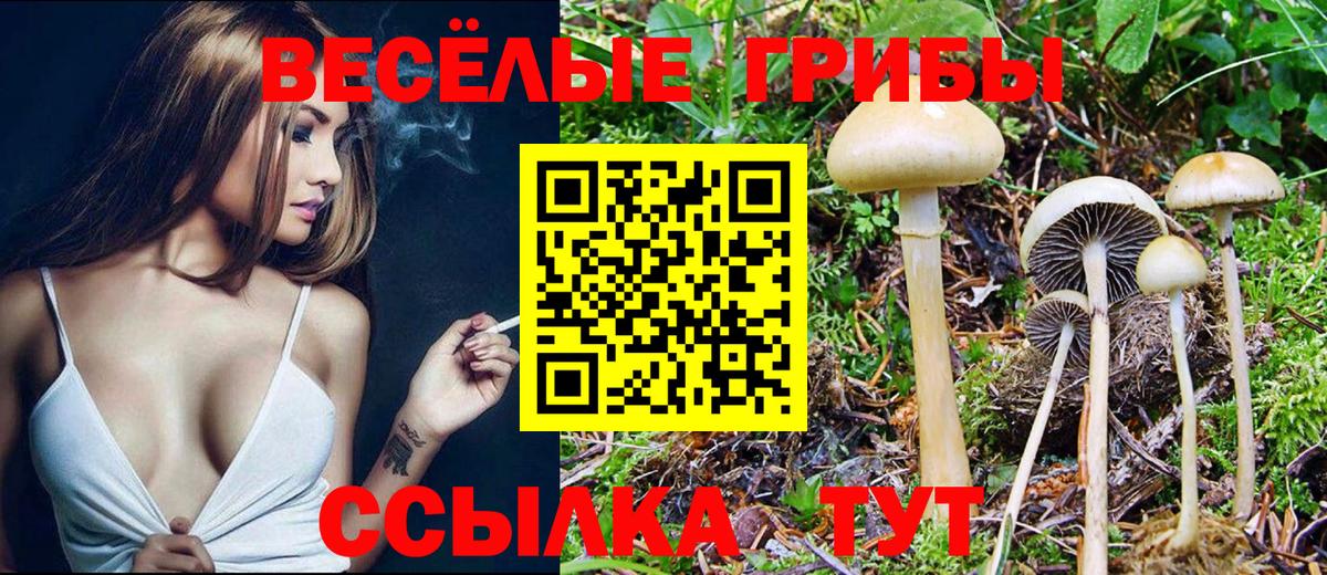 Галлюциногенные грибы Cubensis Торжок