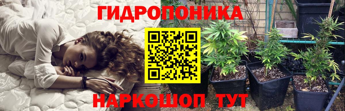 Бошки Шишки Amnesia  МАРИХУАНА Ganja  Канабис ГИДРОПОН  Бошки Шишки ГИДРОПОН  Вход с VPN  Торжок 